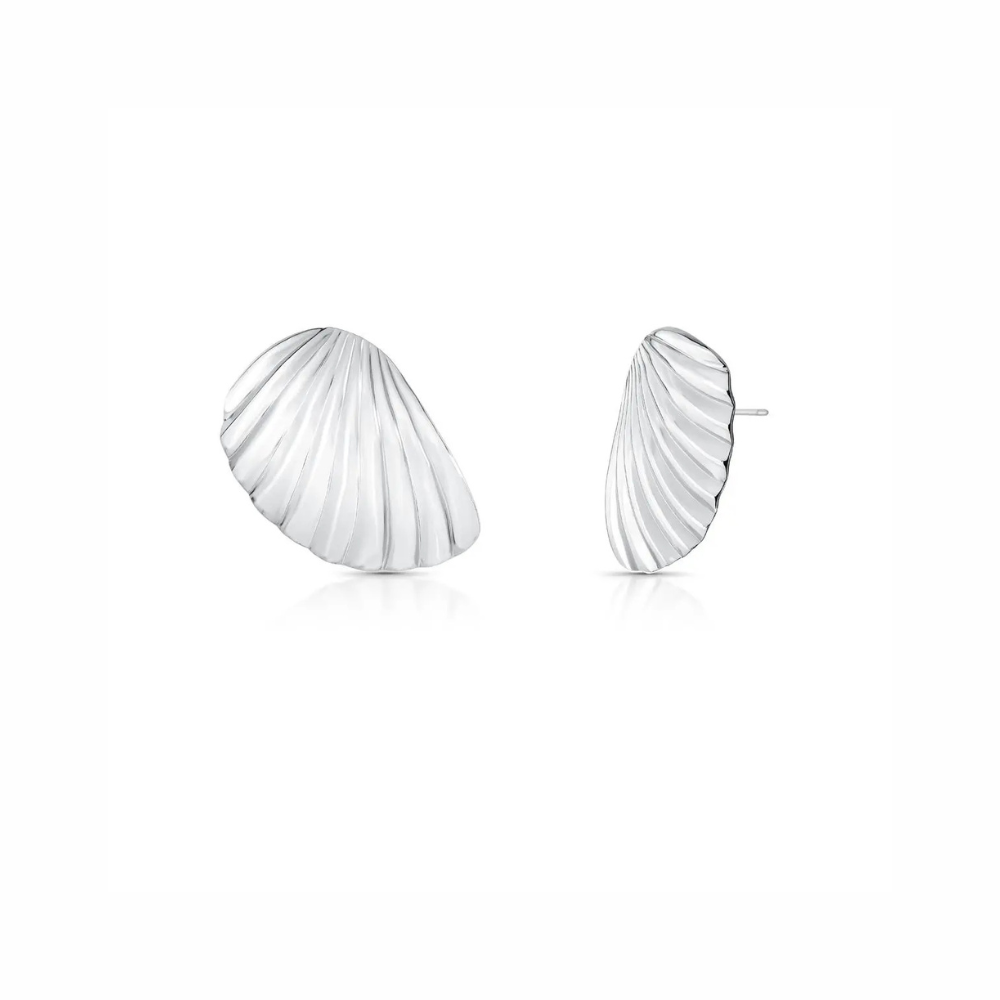 Curved Textured Shell Earrings